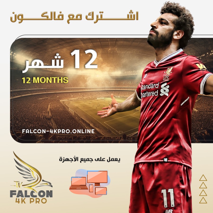 Falcon Subscription 12 Months